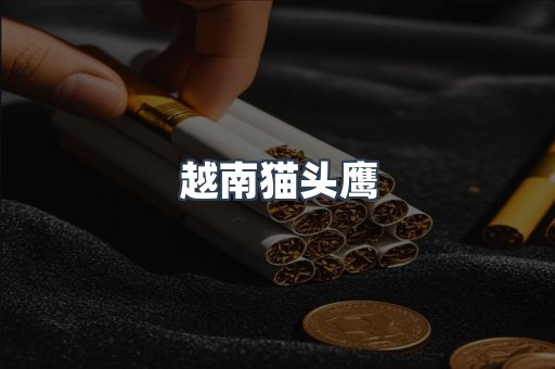 越南猫头鹰